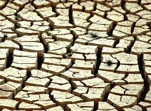 Pele seca e ressequida