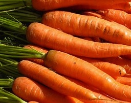 Cenoura Vitamina A